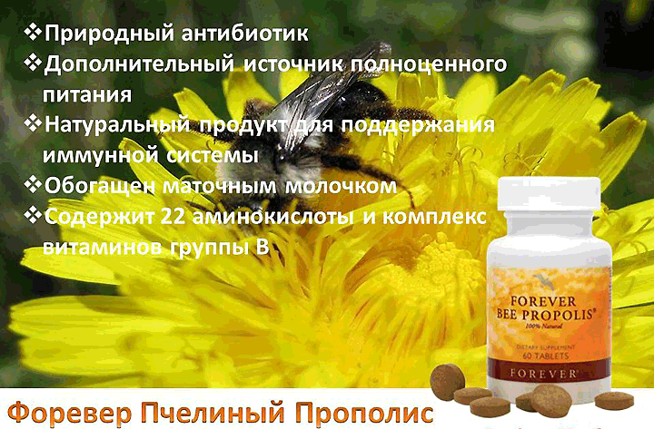 Пчелиный прополис / Bee Propolis Forever Природный антибиотик