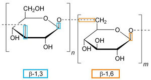 Бета-1,3/1,6 -D- Glucan powder - состав