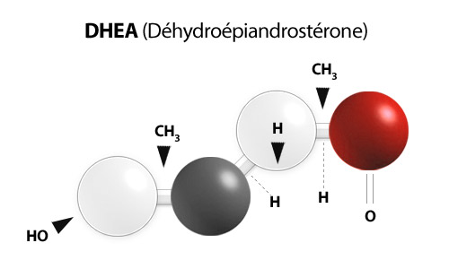 Дегидроэпиандростерон крем (DHEA) крем с ДГЭА 