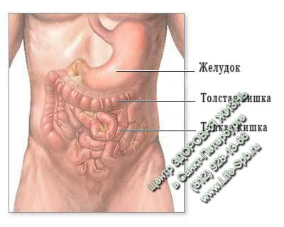 Унибактор комплекс лактобактерий для восстановления желудочно-кишечного тракта